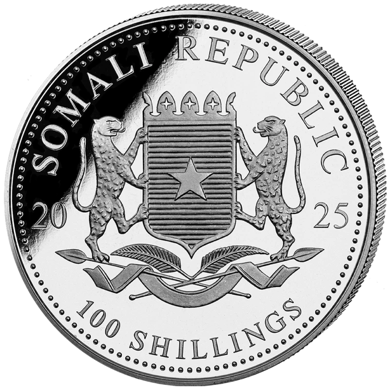 Somalia Silbermünze Afrikanische Wildtiere Leopard 2025 Vergoldet 1 Feinunze Sammlermünzen