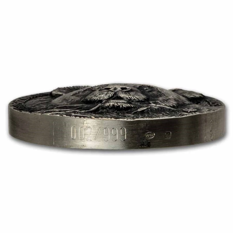 Côte d'Ivoire (Elfenbeinküste): Silbermünze Panda 2025 5 oz Sammlermünzen