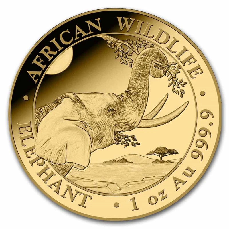 Somalia: Goldmünze Elefant 2023 1 Unze Sammlermünzen