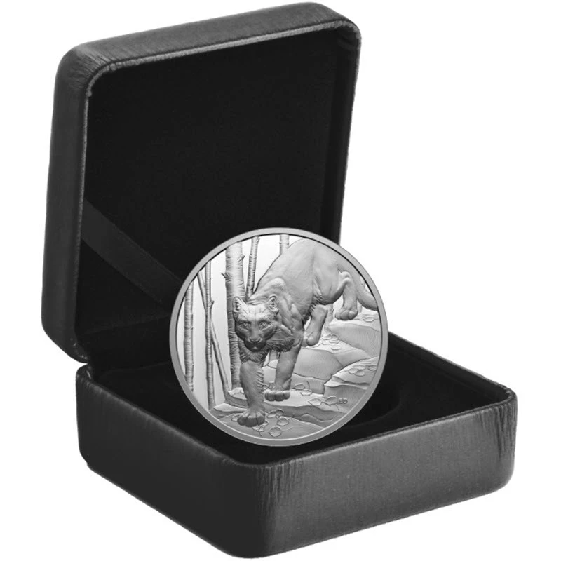 Canada: silver coin Cougar 2024 Proof 1 oz Collectible coins