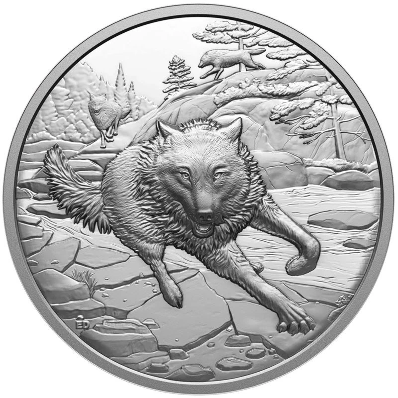 Canada: silver coin Gray Wolf 2025 Proof 1 oz Collectible coins