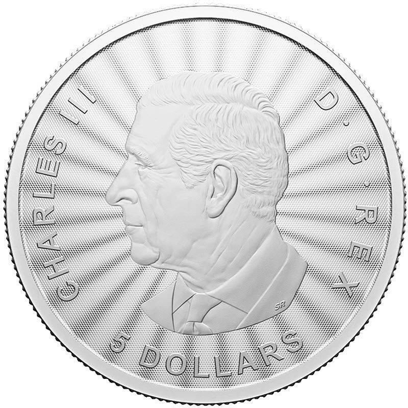 Kanada: Silbermünze The Majestic Polar Bear 2024 1 oz Sammlermünzen