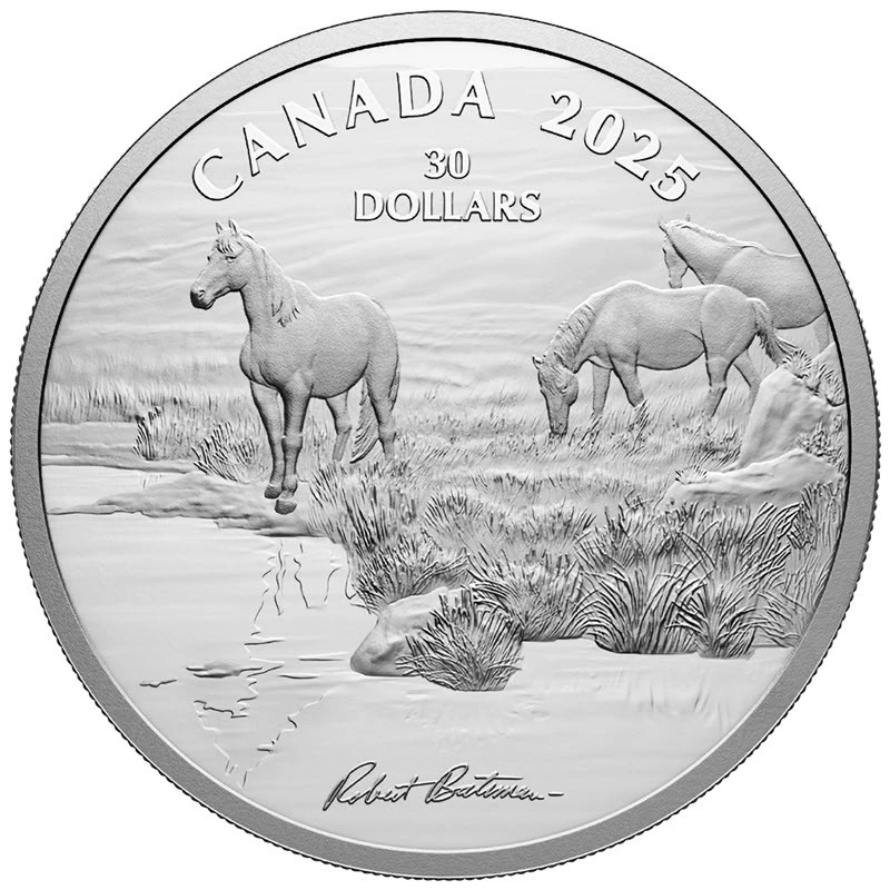 Kanada: Silbermünze Mustang Country 2025 polierte Platte 2 oz Sammlermünzen