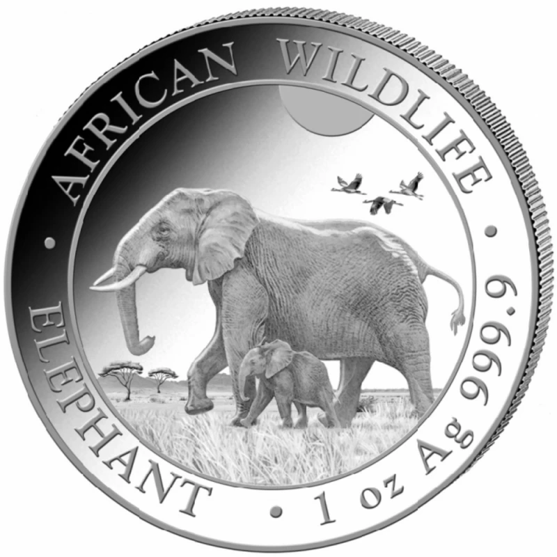 Somalia Silber-Anlagemünze African Wildlife Elephant 2022 1 oz Anlagemünzen