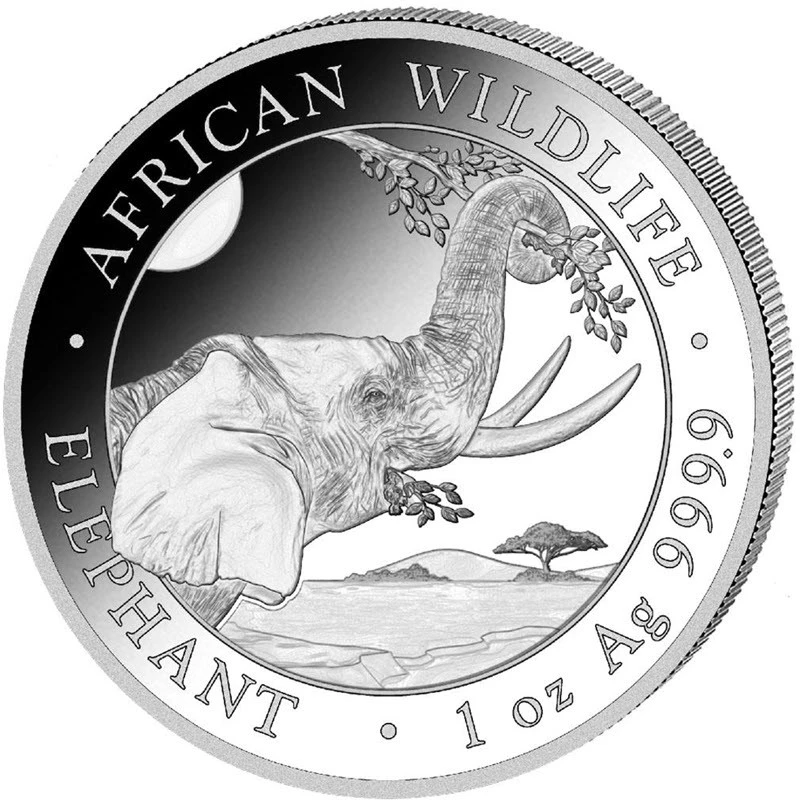 Somalia Silber-Anlagemünze African Wildlife Elephant 2023 1 oz Anlagemünzen