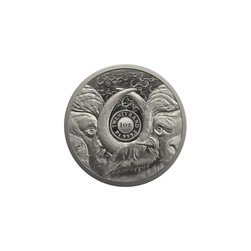 Südafrika Platinmünze Büffel 2023 polierte Platte 1 Unze Sammlermünzen